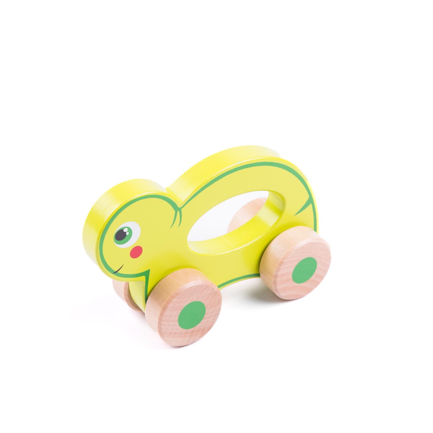 Schildkröte auf Rollen